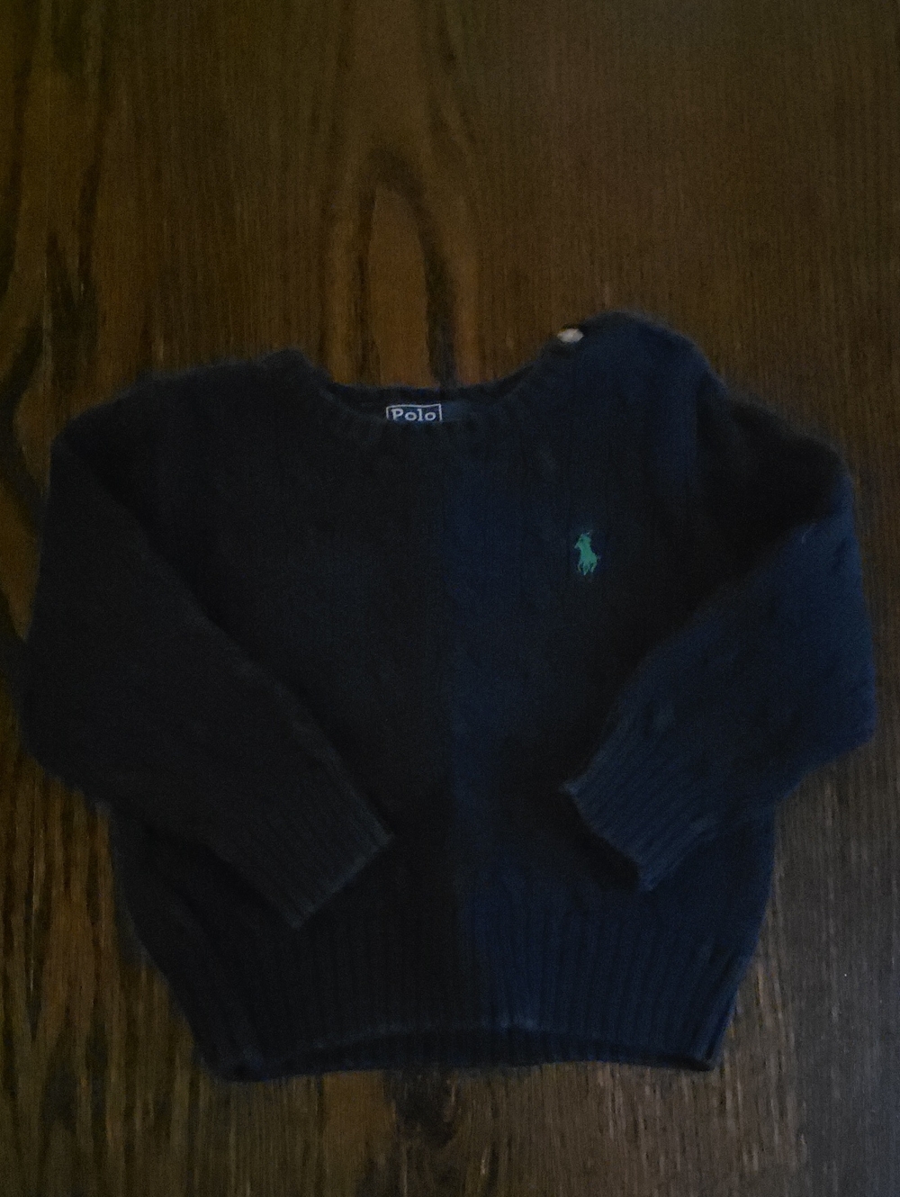 Polo by Ralph Lauren Navy Blue Kids Sweater with Green Pony